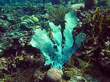 Curacao 04-12 389